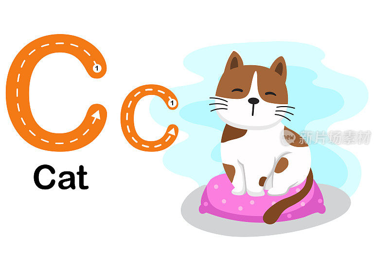 字母c -猫与卡通词汇插图，矢量